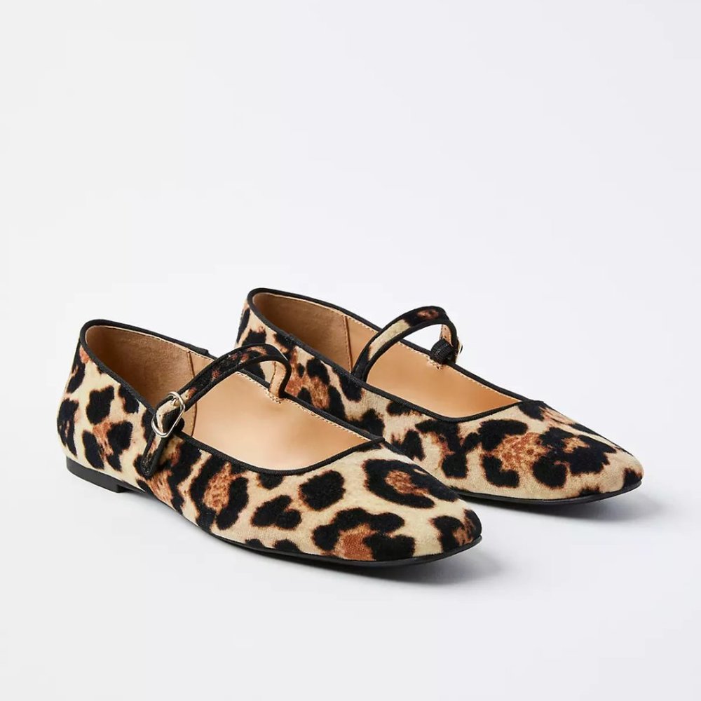 LOFT Leopard Print Velvet Buckle Strap Ballet Flats